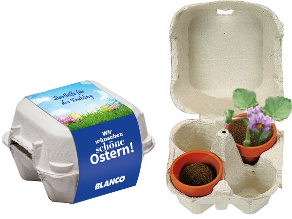 Eierbaum - Box